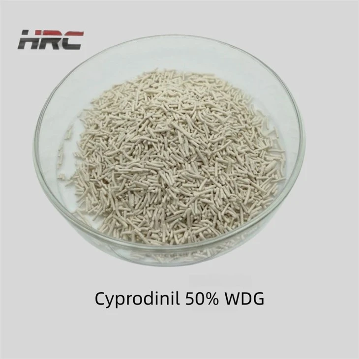 Cyprodinil 50% WDG suppliers